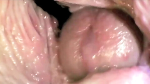 Insemination By Compilation - Conception,...